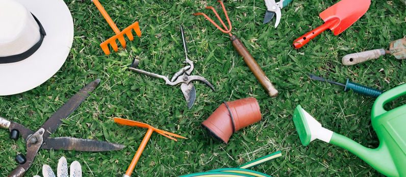Bosch propone 5 consejos y herramientas para un jardín cuidado en otoño -  Jardinería
